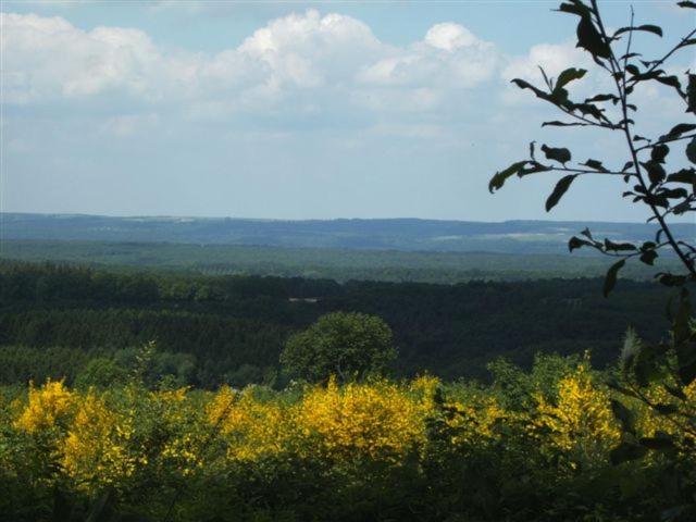 Appartement Ideal Pres De Durbuy / Ideaal Appartement Nabij Durbuy / Ideal Apartment Near Durbuy 호튼 외부 사진